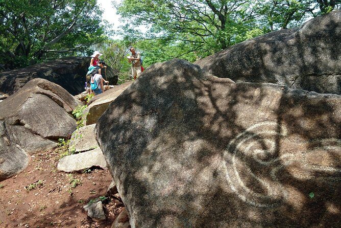 Palma Sola Secrets Petroglyphs Culture & Market Flavors withLunch - What We Think About the Value
