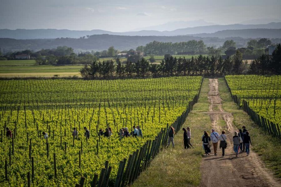 Pals: Visit the Mas Geli winery with a wine tasting - The Practicalities