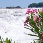 Pamukkale Day Tour from Selcuk - A Closer Look at the Tour Experience