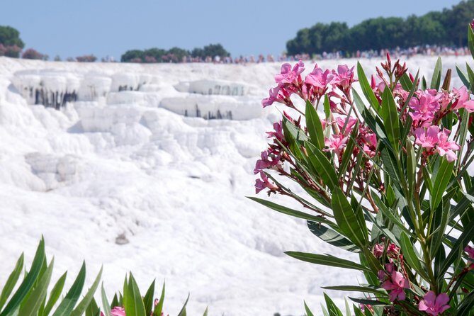 Pamukkale Day Tour from Selcuk - A Closer Look at the Tour Experience
