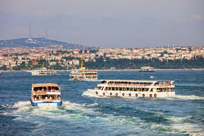 Panoramic City Tour with Bosphorus Strait Sightseeing Cruise - Who Would Love This Tour?