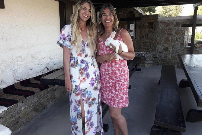 Panoramic Island Tour - What Do Real Travelers Say?