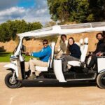 Panoramic Tuk - Why the Panoramic Tuk Tour Might Be Perfect for You