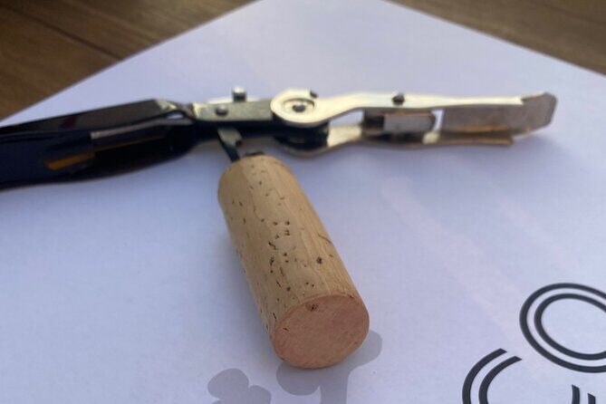 Panoramic wine tasting in Oltrepò Pavese - How the Tour Is Structured