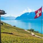 Panoramic Wine Tour From Montreux - A Closer Look at the Panoramic Wine Tour From Montreux