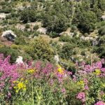 Pantalica Nature Reserve Walking Tour - What Travelers Say: Authentic Perspectives