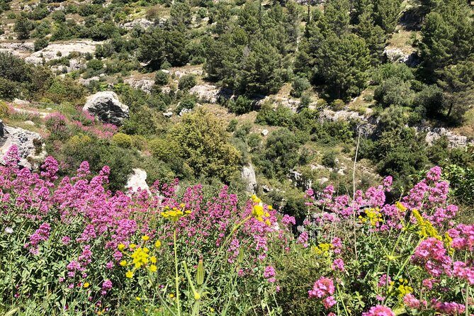 Pantalica Nature Reserve Walking Tour - What Travelers Say: Authentic Perspectives