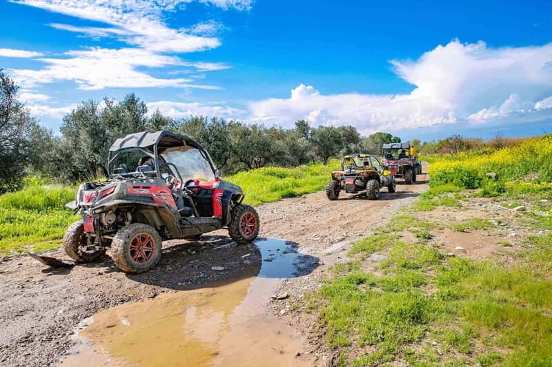 Paphos: 4x4 ATV & Buggy Safari Tour to Aphrodite's Rock - What’s Included and What’s Not