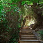 Paphos/Akamas: Blue Lagoon Bus & Boat Tour with Water Slide - The Real Deal: What You’re Getting for Your Money