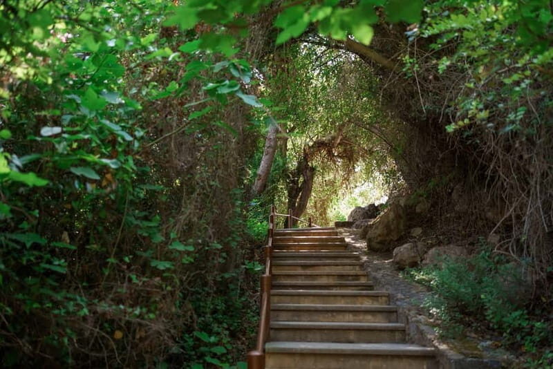 Paphos/Akamas: Blue Lagoon Bus & Boat Tour with Water Slide - The Real Deal: What You’re Getting for Your Money