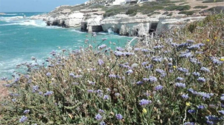 Paphos: Akamas, Waterfalls & Blue Lagoon of Aphrodite Tour - Practical Details and What to Expect