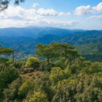 Paphos: Beauty, Nature and Charm of Troodos Mountains - A Taste of Local Culture in Omodos