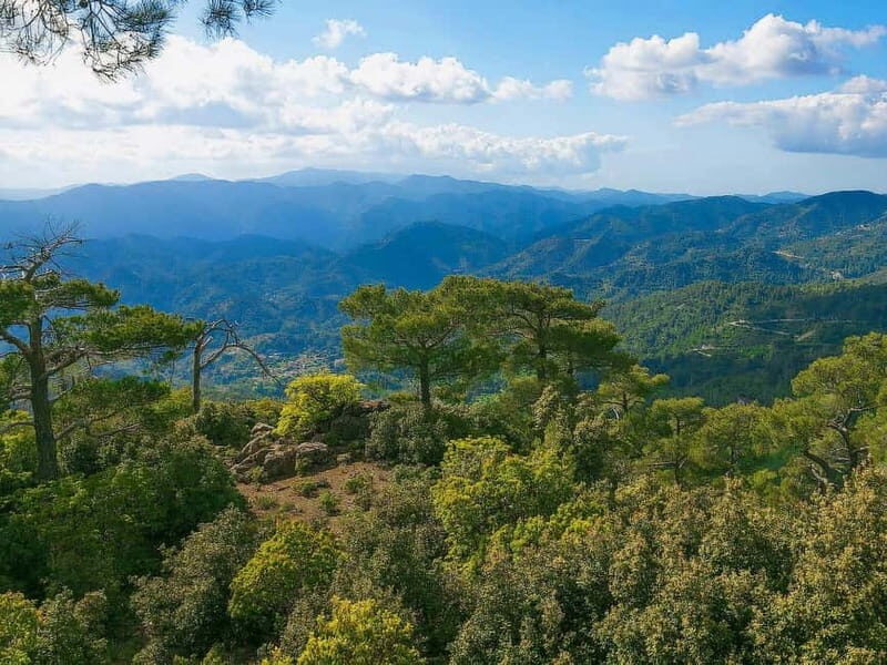 Paphos: Beauty, Nature and Charm of Troodos Mountains - A Taste of Local Culture in Omodos