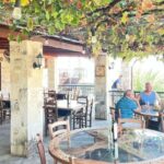 Paphos Hills Wine Tour: Tsangarides, Kolios & Vouni Panayia - Is This Tour Worth It?