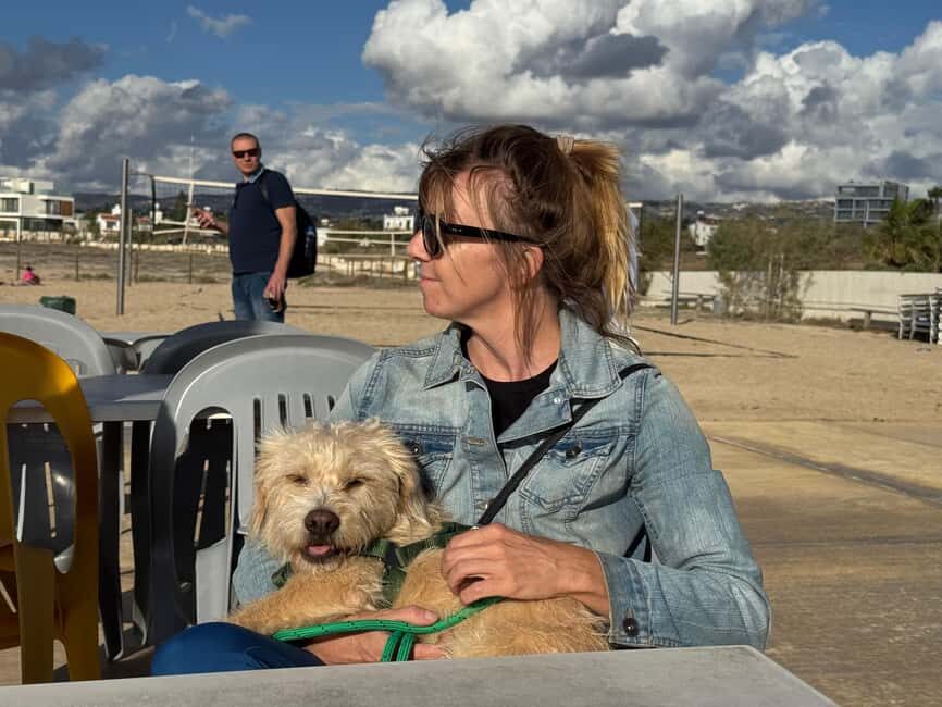 Paphos: Lighthouse Area Beach Walk with Rescue Dogs - Who Would Love This Tour