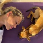 Paphos (Peyia): Mindful Yoga with Rescue Puppies - Breaking Down the Experience