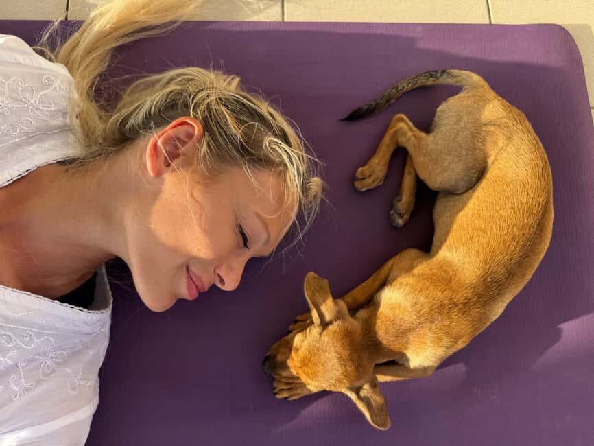 Paphos (Peyia): Mindful Yoga with Rescue Puppies - Breaking Down the Experience