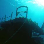 Paphos: The Yellow Glass-Bottom Boat Cruise Swim & Snorkel - What to Expect on the Day