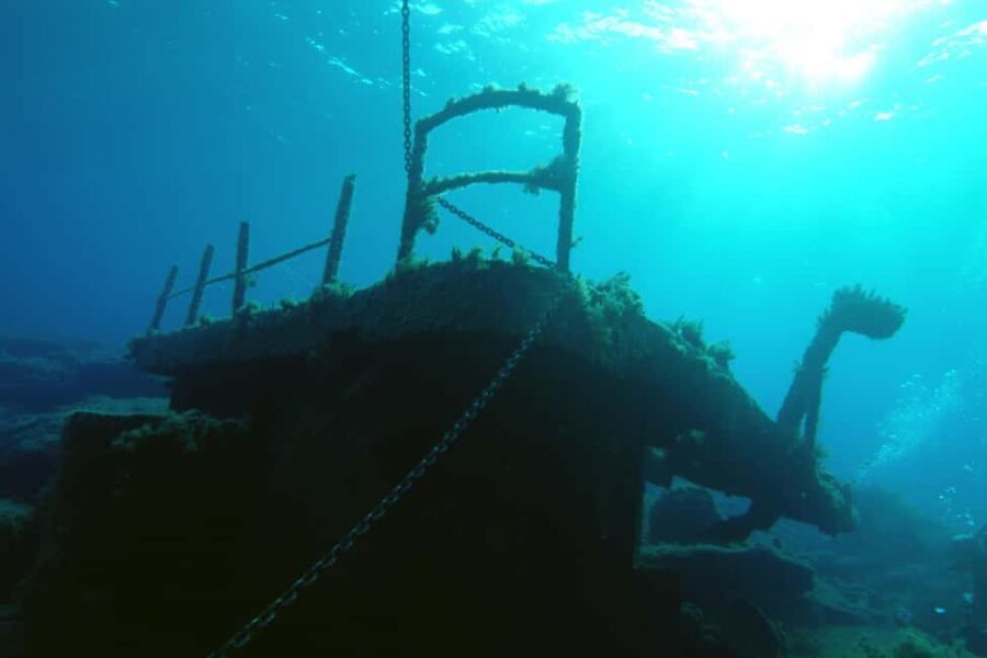 Paphos: The Yellow Glass-Bottom Boat Cruise Swim & Snorkel - What to Expect on the Day