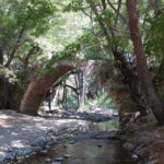 Paphos: Troodos-Kykkos Land Rover Treasure Jeep Safari - Practical Details and Tips