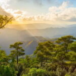 PAPHOS: Troodos Mountains "Monasteries & Villages" by coach - Final Thoughts