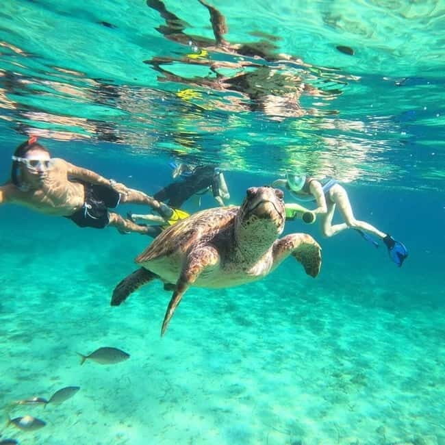 Paphos: Turtle-Watching Snorkeling Sea Scooter Trip - The Itinerary in Detail
