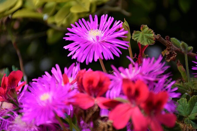 Paradise Valley Beauty Walk - The Price and Its Value