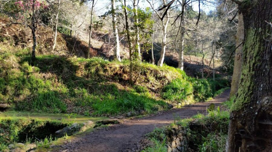 Paradise Valley half-day morning walk. - Is This Tour Worth It?