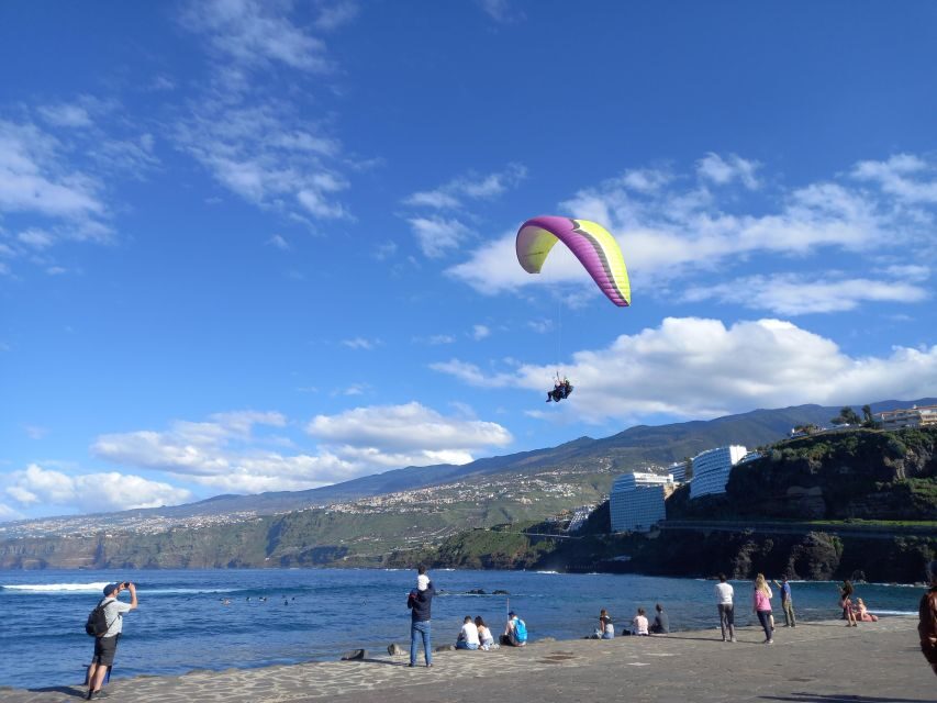 Paragliding from Puerto de la Cruz or Teide National park - The View from Above: Why It’s Worth It