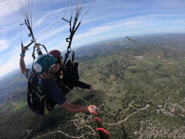 Paragliding: near Ronda (Málaga) - Who Will Love This Experience?