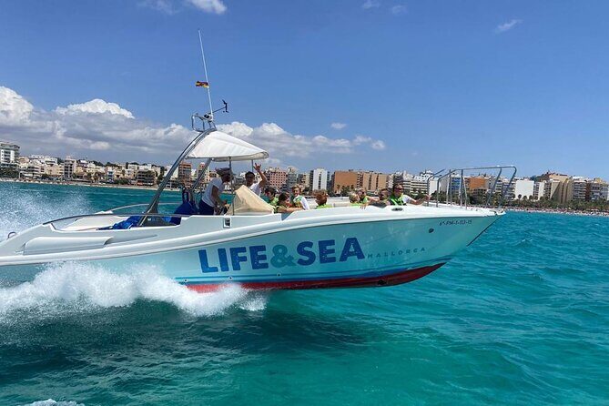 Parasailing in the Bay of Palma - Listening to the Reviews: What Travelers Say
