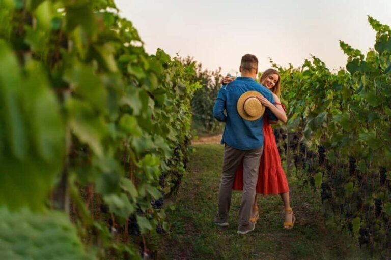 Parghelia: Romantic sunset tasting in the vineyard with music - Who Is This Tour Best For?