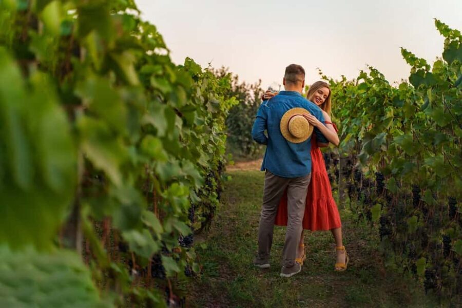Parghelia: Romantic sunset tasting in the vineyard with music - Who Is This Tour Best For?