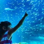 Paris: Aquarium de Paris Entrance Ticket - Who Is This Experience Best For?