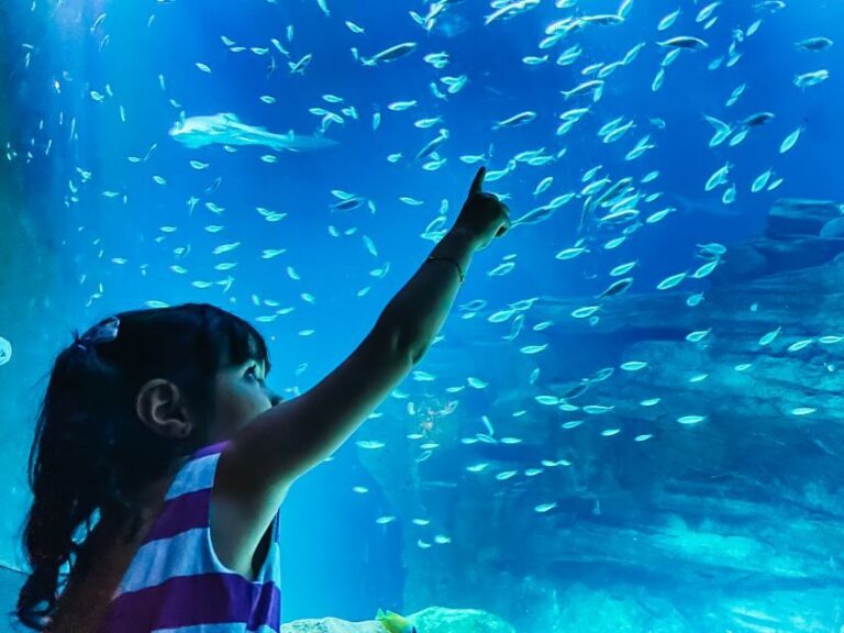 Paris: Aquarium de Paris Entrance Ticket - Who Is This Experience Best For?