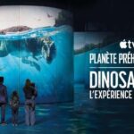 Paris: Atelier des Lumières Dinosaurs the Immersive Experience - What is the Atelier des Lumières Dinosaur Experience?