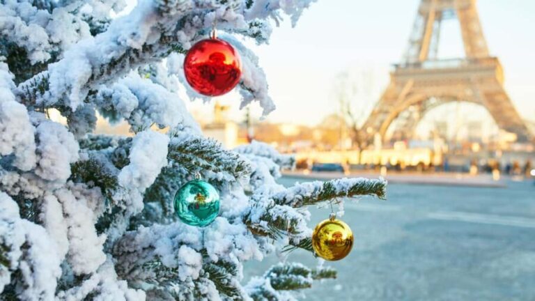 Paris: Christmas Private City Tour by Car - What Makes This Tour Stand Out?