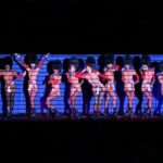 Paris Crazy Horse Cabaret Show Champagne & macarons - Who Should Book This Experience?