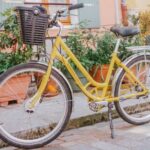 Paris: Day Bike Rental - What to Expect on Your Day Out