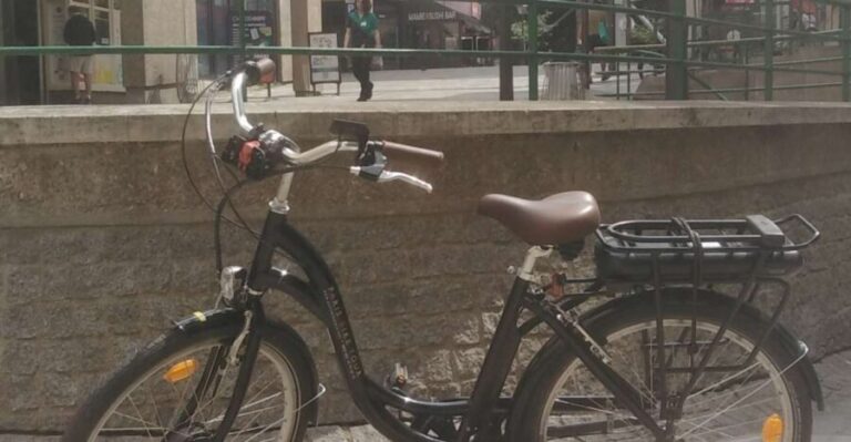 Paris : E-bike rental in Le Marais (City Center) - What the Experience Looks Like