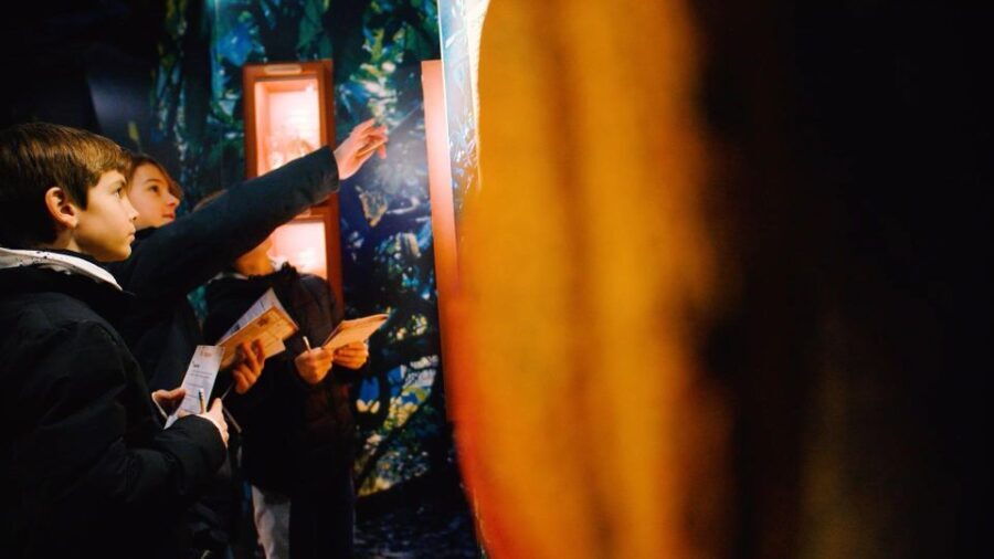 Paris: Entrance Ticket to the Chocolate Museum - The Practicalities: Price, Accessibility, and Tips