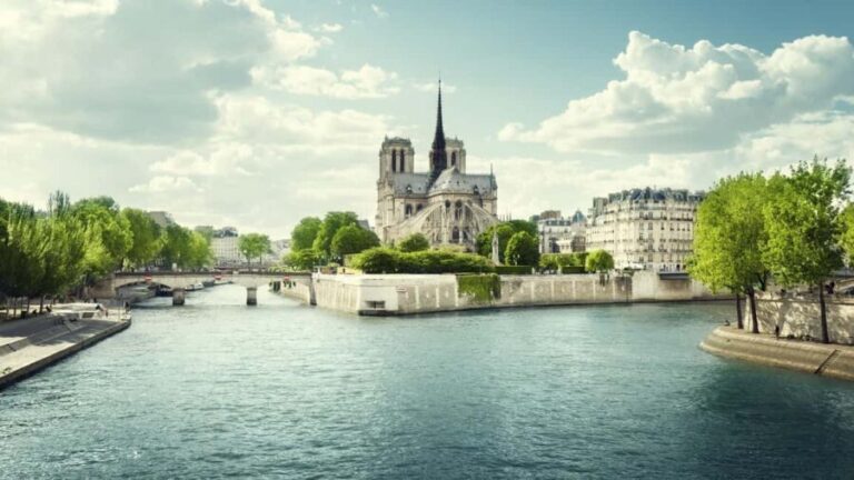 Paris : Historic Heart of Paris: Île de la Cité Walking Tour - The Experience and Its Value