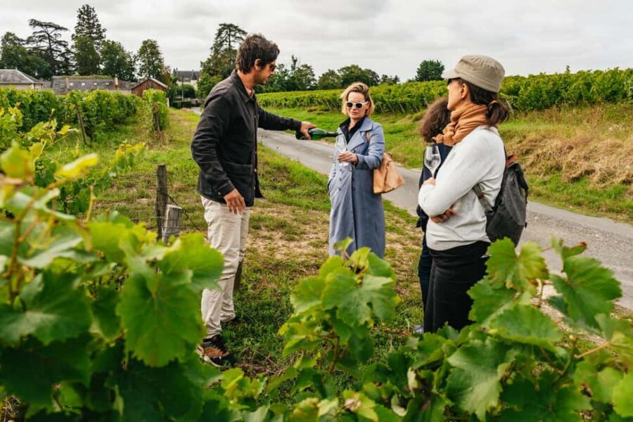 Paris: Loire Valley Chambord Castle, Wine Tasting & Lunch - What We Loved (and What to Consider)