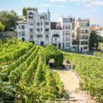 Paris Montmartre & Sacre Coeur Semi-Private Guided Tour 12pp - What We Think About the Experience