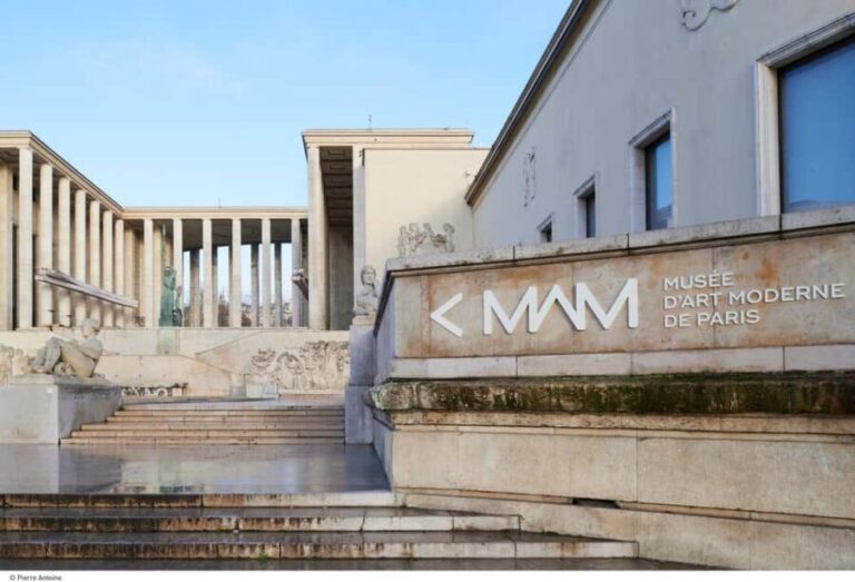 Paris Museum of Modern Art Entrance Ticket - The Collection and Highlights