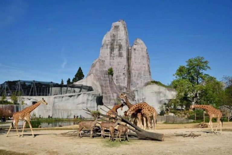 Paris: Paris Zoological Park Entrance Ticket - Who Should Consider Visiting?