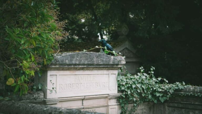 Paris: Père Lachaise Cemetery Guided Walking Tour - The Practicalities: What to Know Before You Go