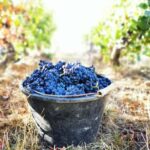 Paris: Prestige Sancerre Wine Tour with 10 Tastings & Lunch - Overall Value and Considerations