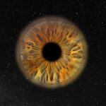 Paris: Professional Iris Photography with a Framed Print - What the Reviews Say