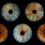 Paris Rivoli: Reveal the beauty of your iris with Iris Galerie - How Good Is the Value?